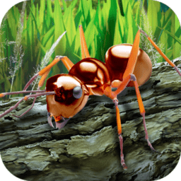 蚂蚁模拟器 V1.01 安卓版